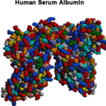 albumin