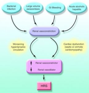 HRS