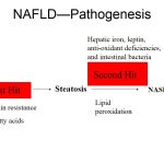 nafld