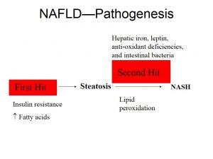 nafld