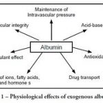 albumin