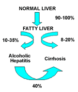 alcoholic hepatitis