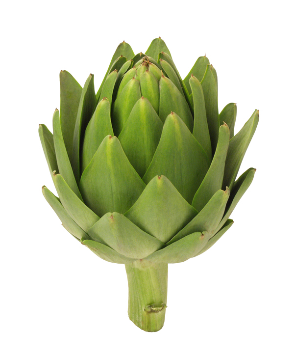 artichoke