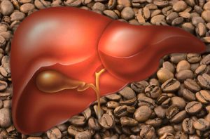 coffee & liver