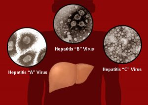 hepatitis virus