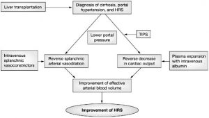 hrs