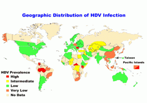 hepatitis d