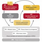 nafld