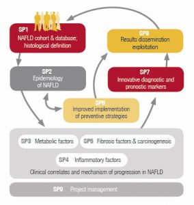 nafld