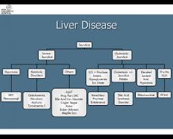 liver disease primer