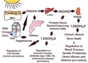 vitamin d