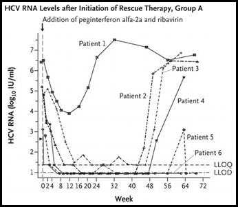 What is Viral Load? | Livers With Life