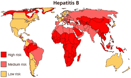 hepatitis b