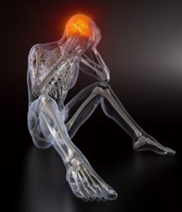 brain