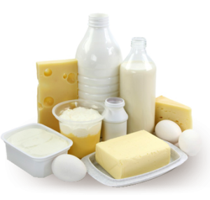dairy products