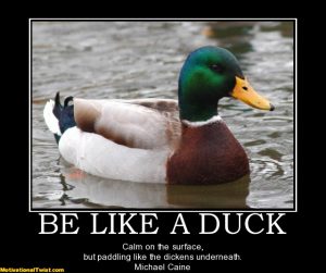 be like a duck