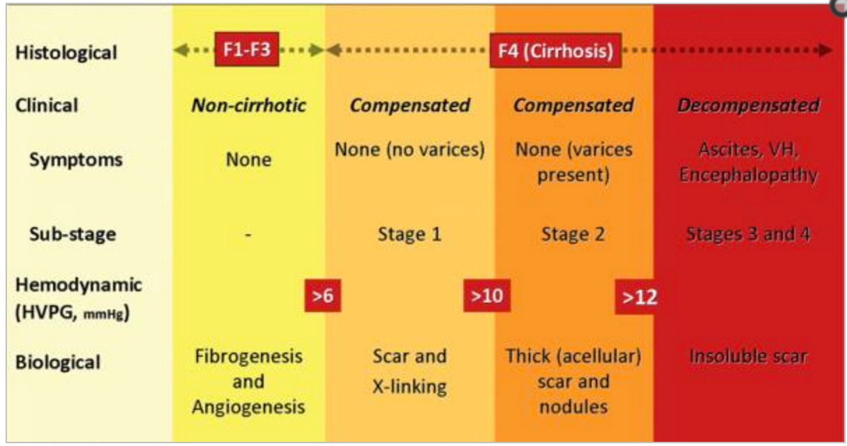 how-long-can-you-live-with-cirrhosis-fatty-liver-disease